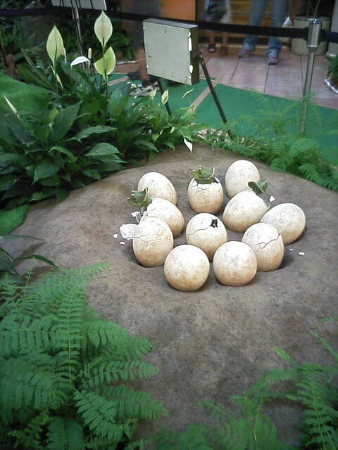 DCSA0001.jpg
