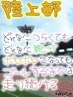 img_50448_522503_2.jpg