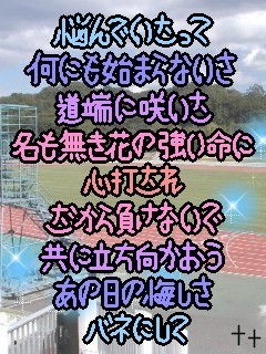 img_50448_522503_3.jpg