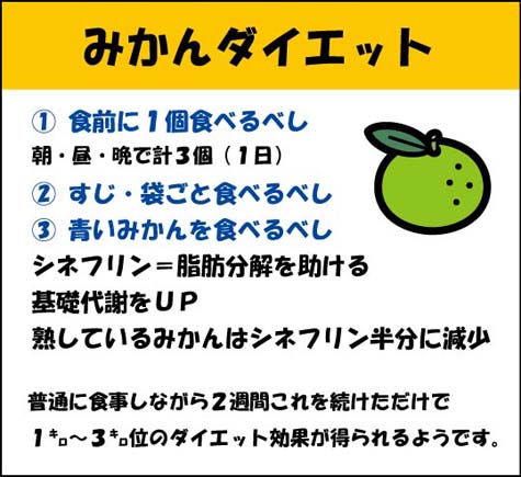 あるある大事典10 22放送のリンゴ みかんダイエット クロムハーツ 楽天ブログ