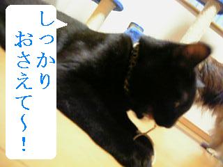 おさえるにゃ！！