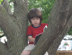 木に登って本を読む息子