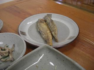 CIMG0868.JPG