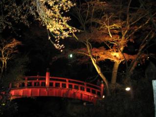 ムービー 123.jpg