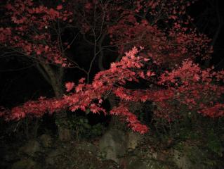 ムービー 124.jpg