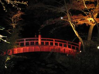 ムービー 136.jpg