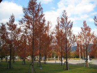 ムービー 187.jpg