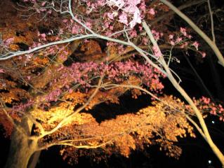 ムービー 126.jpg