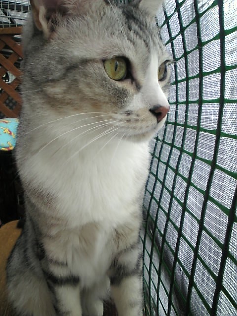 Image134.jpg