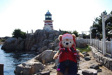 ケープ モカ.JPG