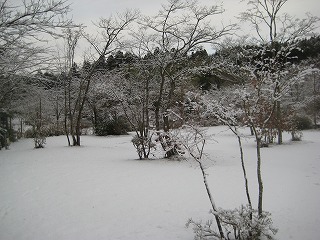 s-IMG_1225.jpg