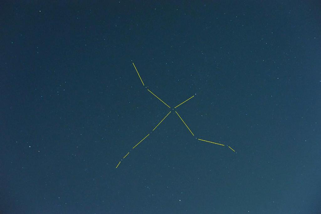 浦安から見た白鳥座