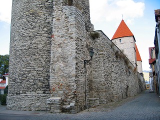 城壁と城門.jpg