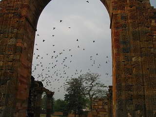 鳥の公園.jpg