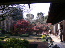 ０８１１　喜多院　庭　紅葉.jpg