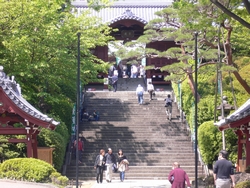 ０９０４　護国寺　石段.jpg