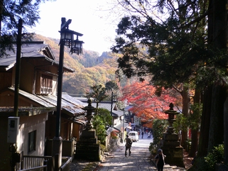 ０９１１　高尾紅葉.jpg