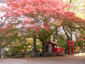 １０１１　猿橋　神社.jpg