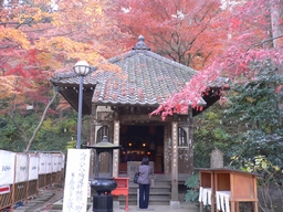 ０８１１　高幡不動　紅葉２.jpg