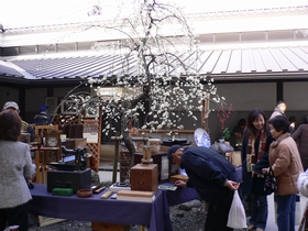 ０９０３　高幡不動　骨董市　梅.jpg