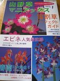 山野草マニアックス.JPG