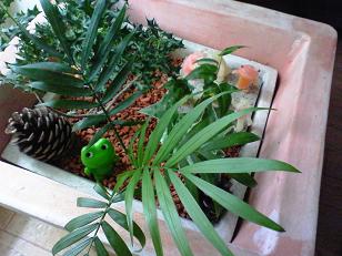 テーブルガーデン