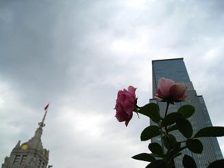 チェルシーガーデン