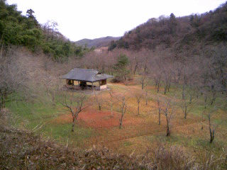 冬枯れの卯辰山