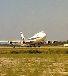 離陸寸前の全日空機.jpg