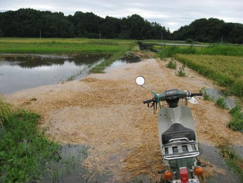 箒台　踏査地点