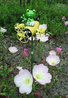 花とカエルさん