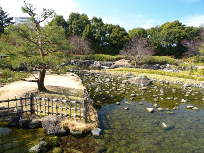 白鳥庭園の池