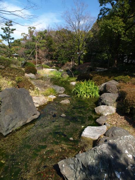 白鳥庭園の小川