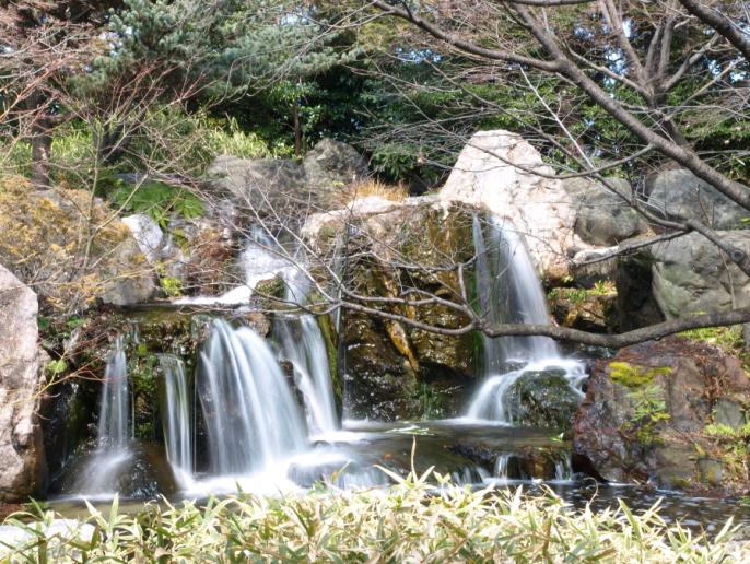 白鳥庭園の滝