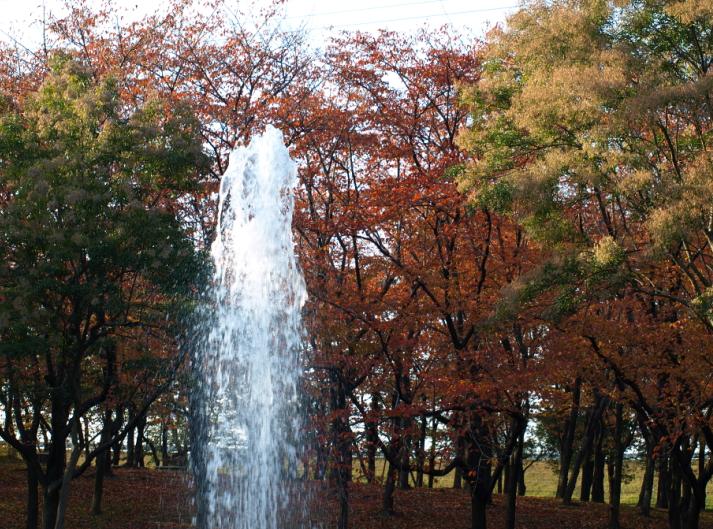 噴水と紅い葉の桜