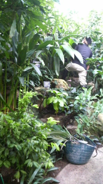 高知牧 野植物園