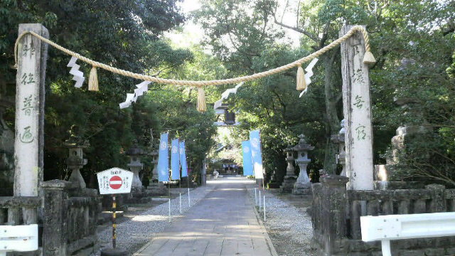 高知
