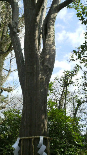 京都　 護王神社