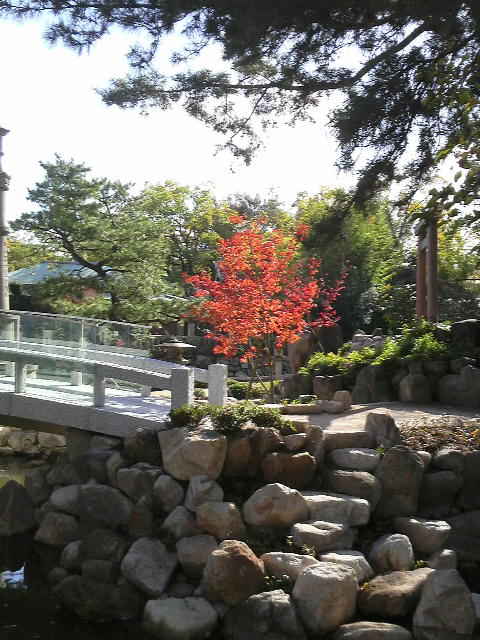 西宮神社。