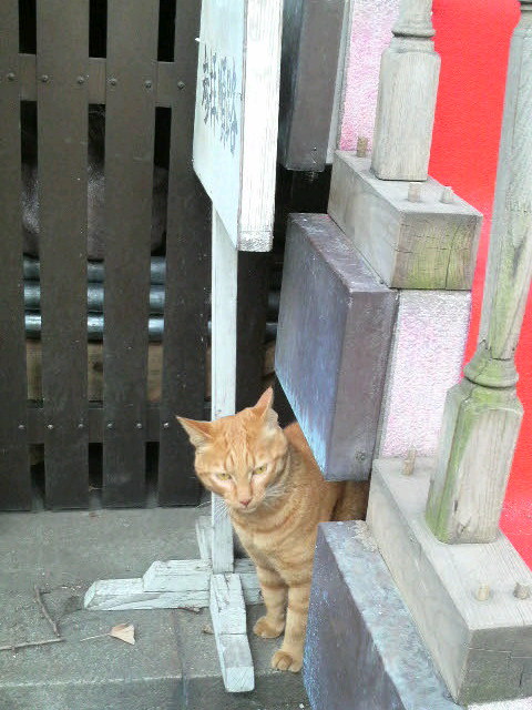 東銀座～築地波除稲荷