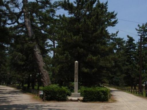 天橋立　　　ｄ