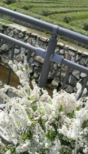 2009/03/21  百軒樋川