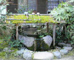 京都。糺の森～河合神社