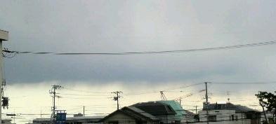 2009/03/25  春時雨。雨降りとの境目かな？