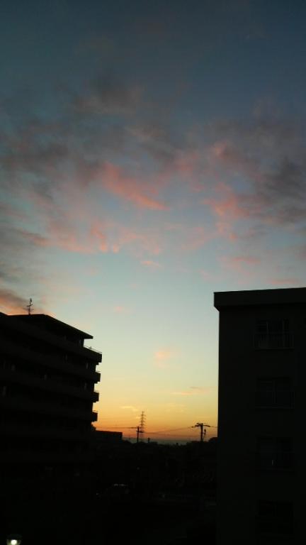 2009-01-08 夜明け。