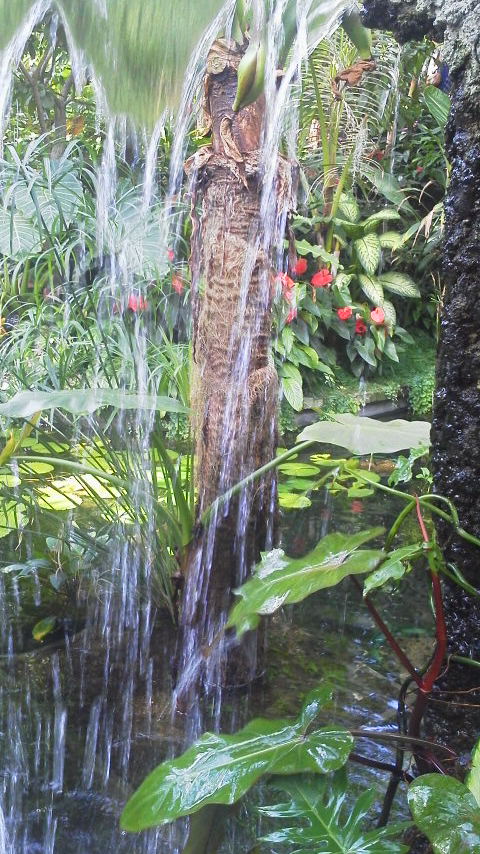 高知牧 野植物園