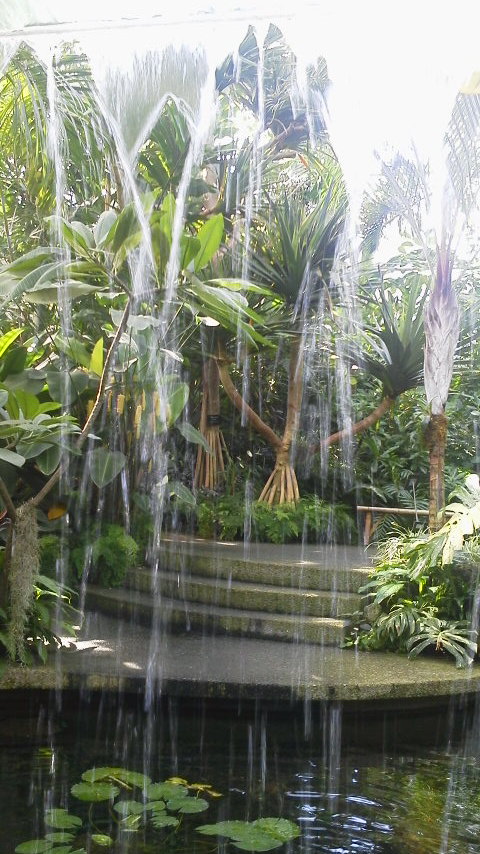 高知牧 野植物園