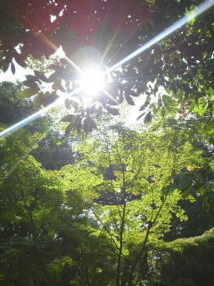 11月8日　廣田の杜