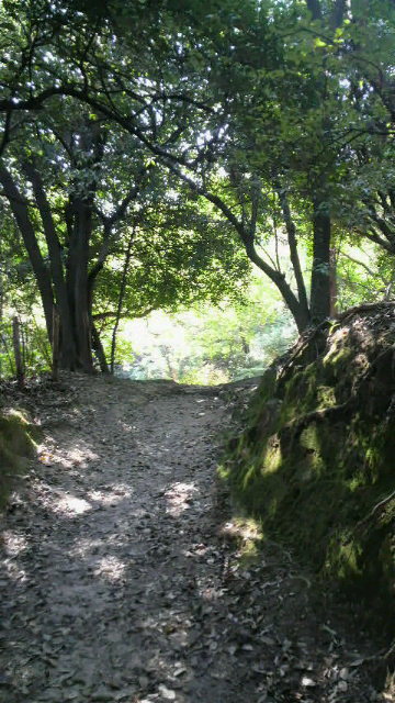 11月8日　廣田の杜