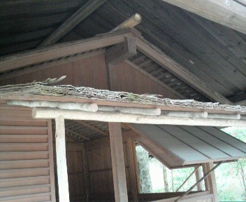 京都。糺の森～河合神社